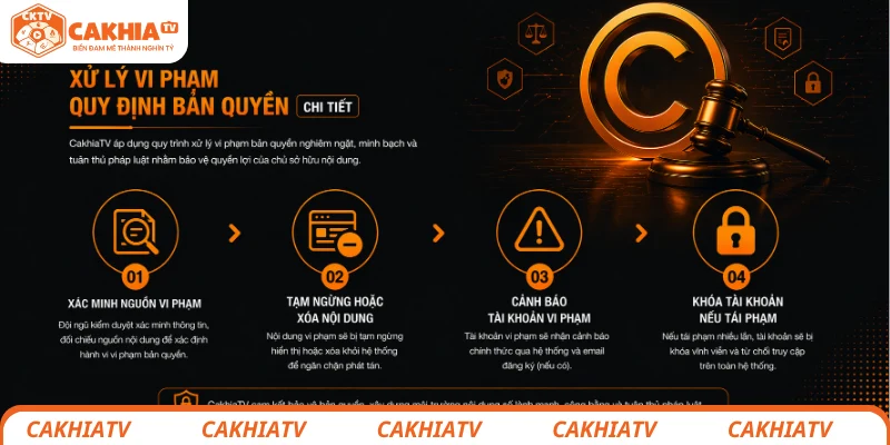 Quy trình xử lý vi phạm quy định bản quyền chi tiết